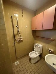 The Cairnhill (D9), Condominium #609108281